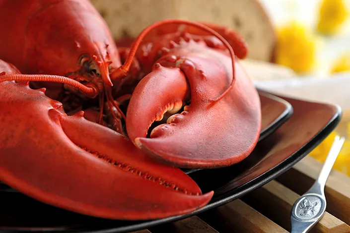 Lobster preparation