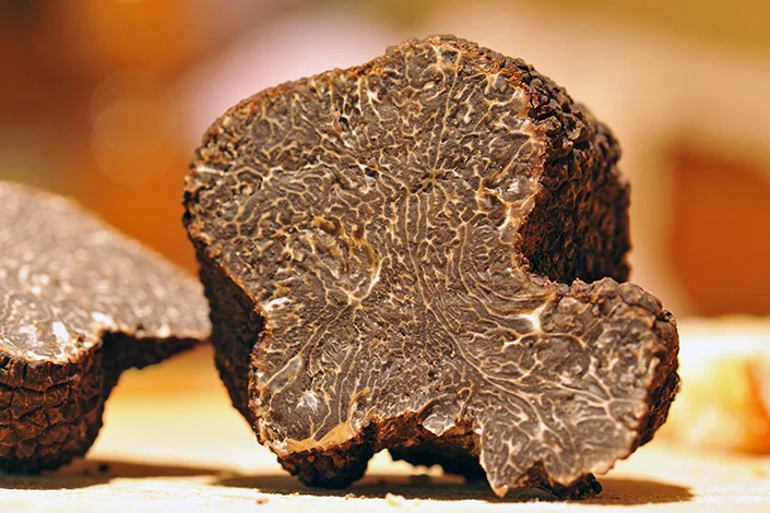 Fresh truffles
